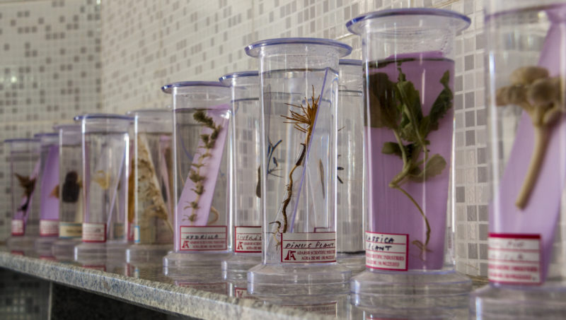 Biology Lab